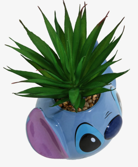 Lilo & Stitch Planta De Decoracion Suculenta