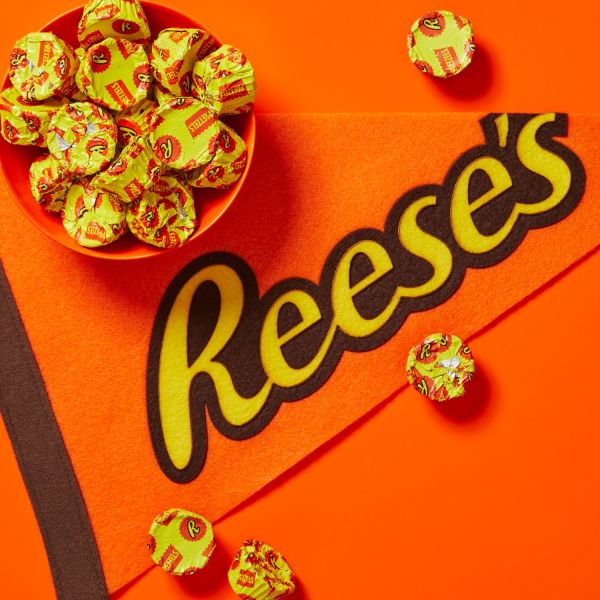 REESE'S Mini Stuffed with Pretzels Milk Chocolate Peanut Butter Candy, 16.5 Oz (Cont. 5)
