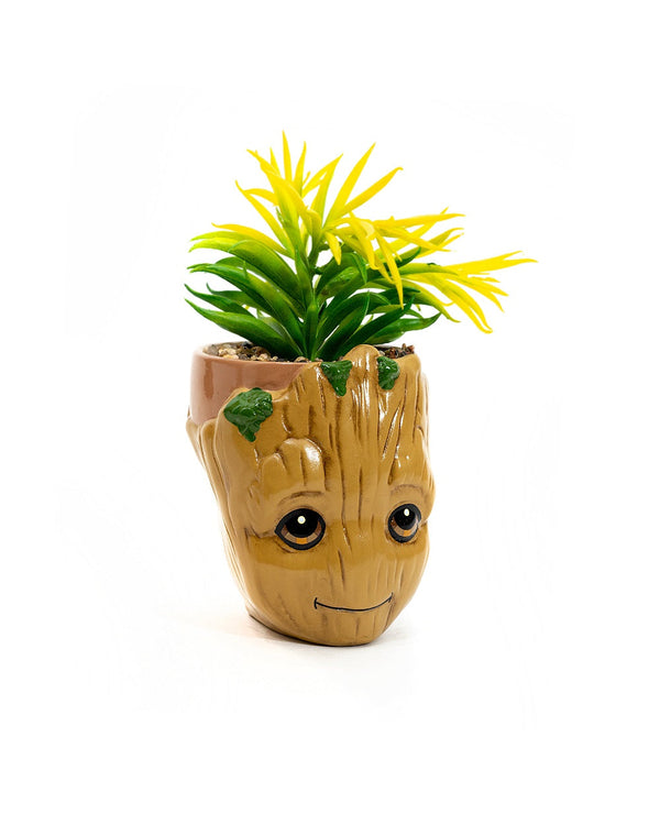Guardianes De La Galaxia Groot Planta Suculenta
