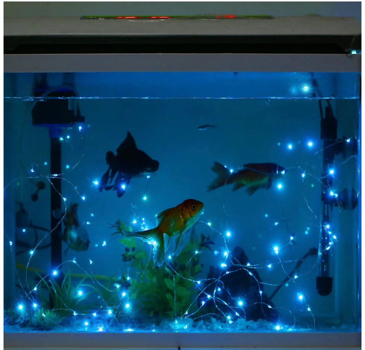 Tira De Luces Led Decoración Luz