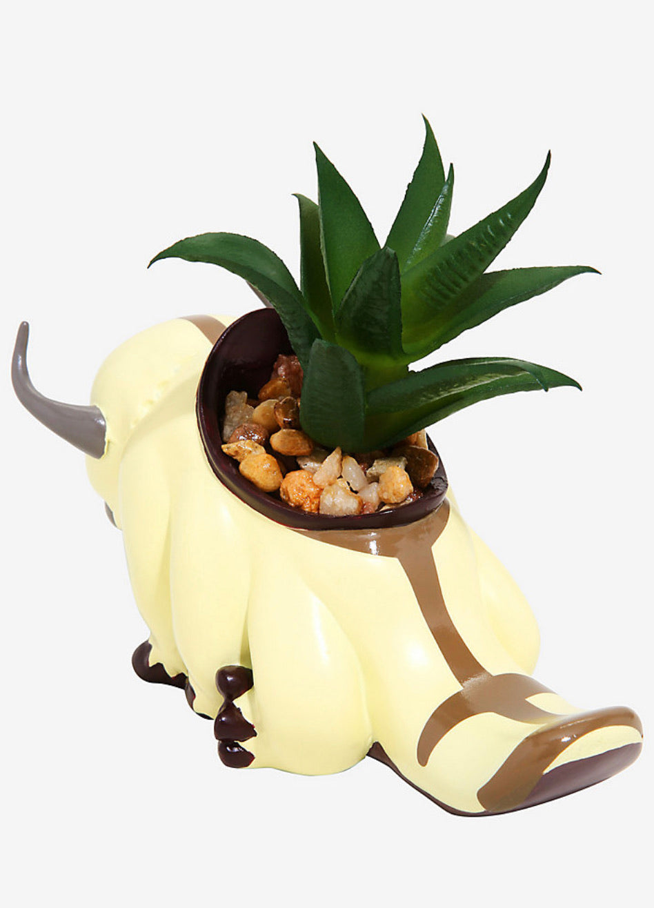 Avatar Maceta Appa Suculenta