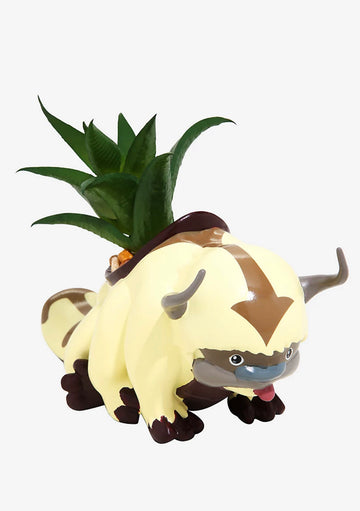 Avatar Maceta Appa Suculenta