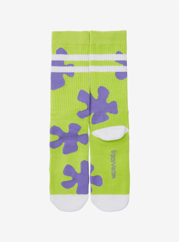 Bob Esponja Calcetines Patricio