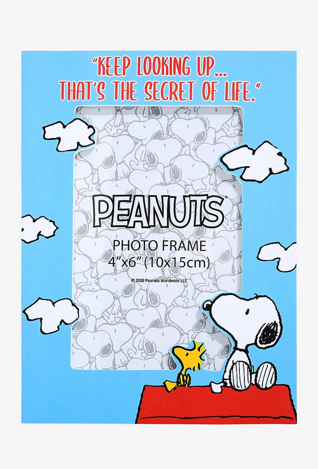 Snoopy Cuadro Para Fotos