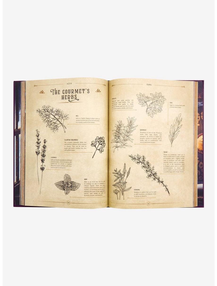 Zelda Libro De Cocina