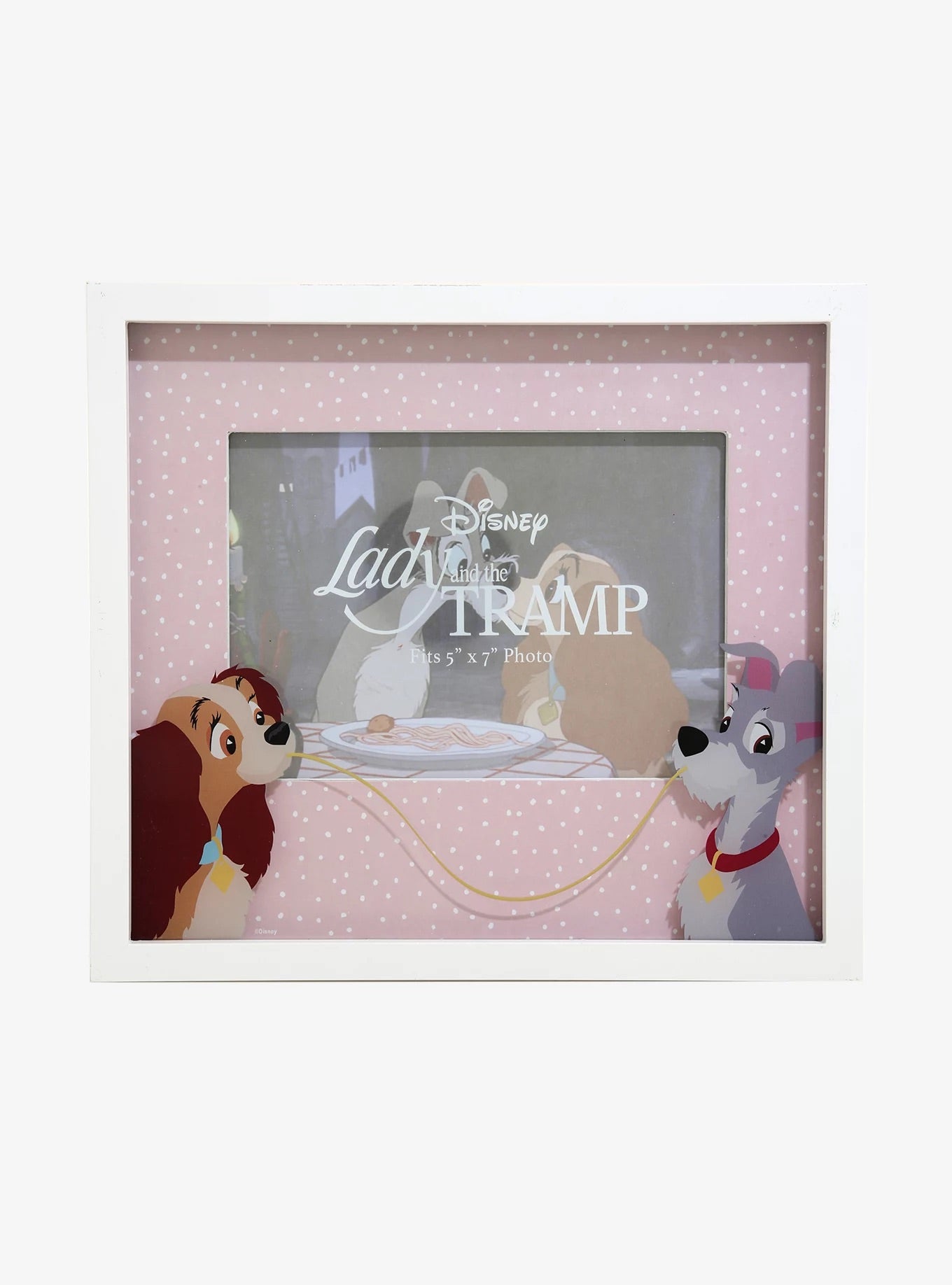 La Dama Y El Vagabundo Cuadro Fotos