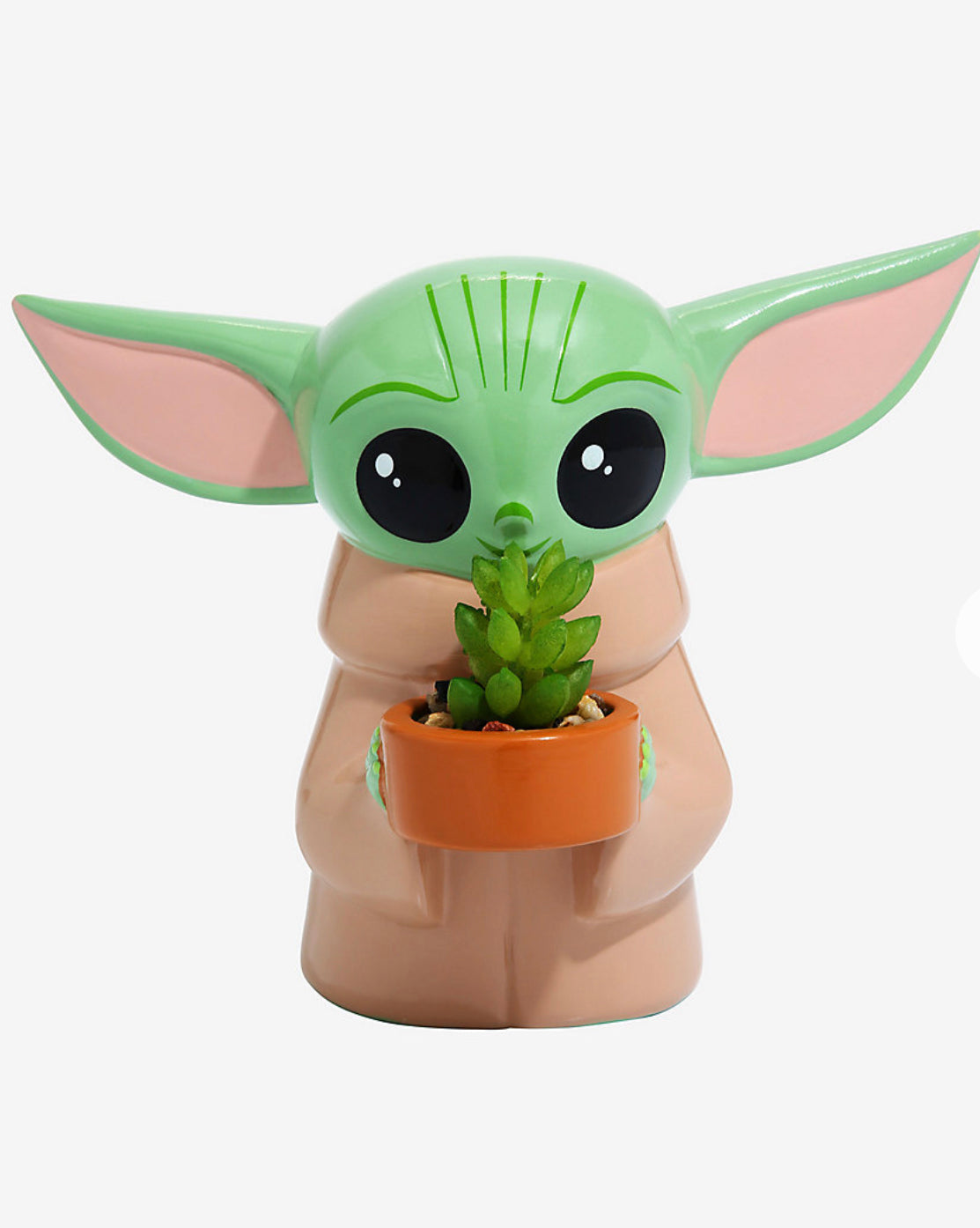 Star Wars Planta Baby Yoda Suculenta Grogu