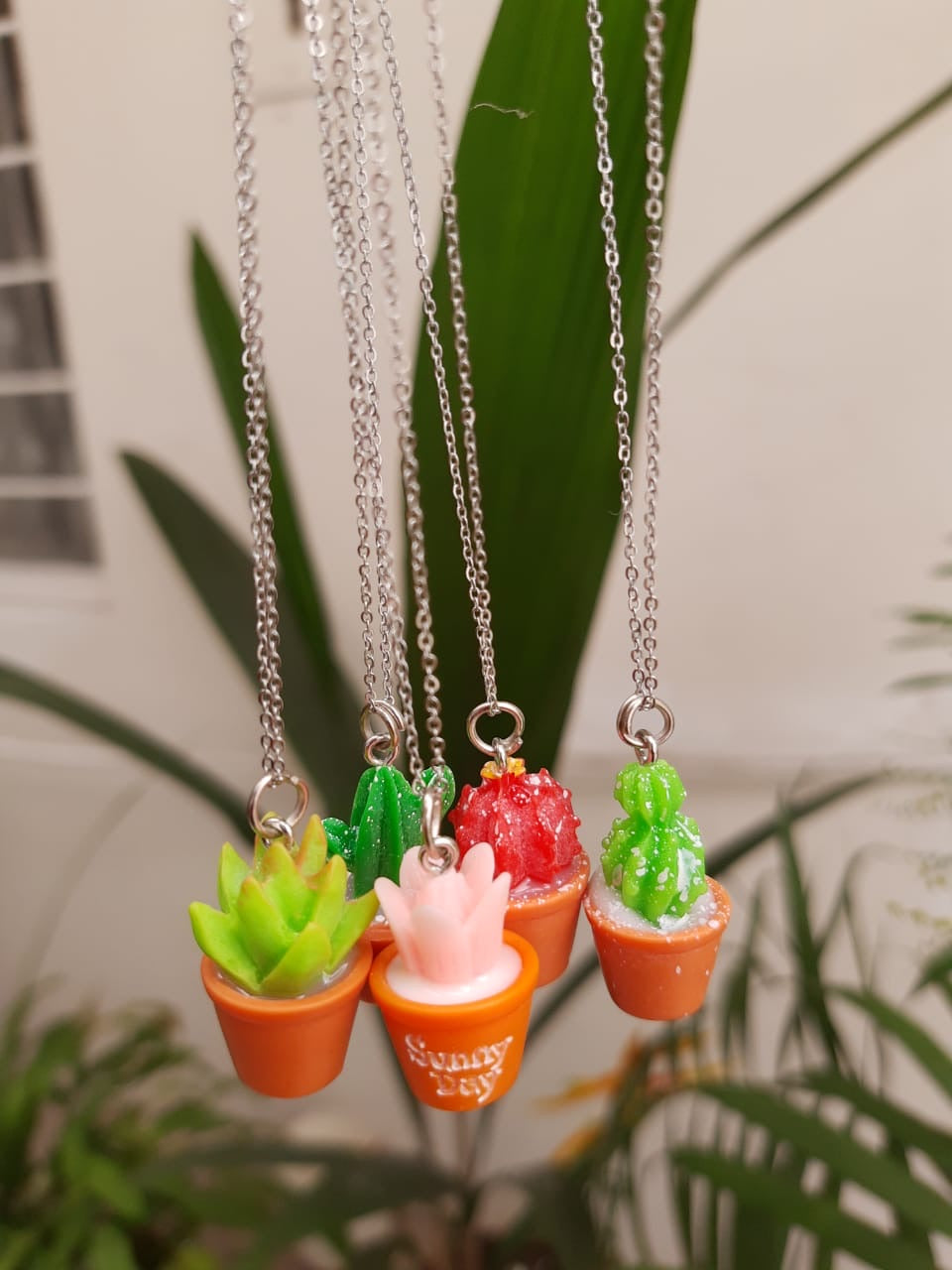 Collar Cactus Suculenta Maceta