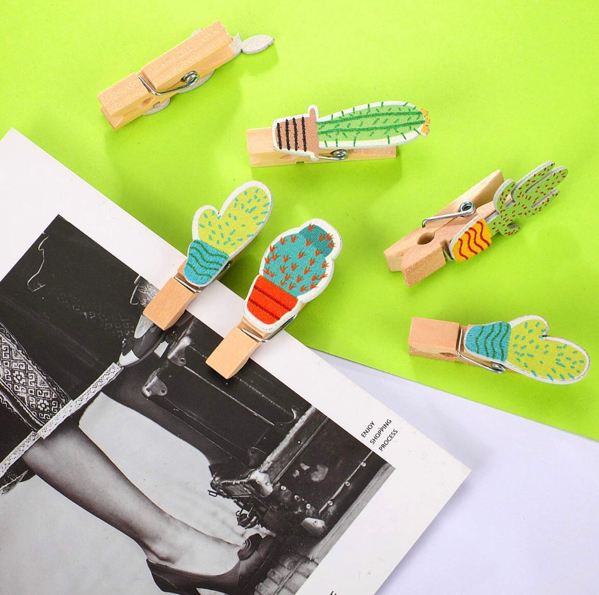 Set De Cactus Lapicera Y Plumas