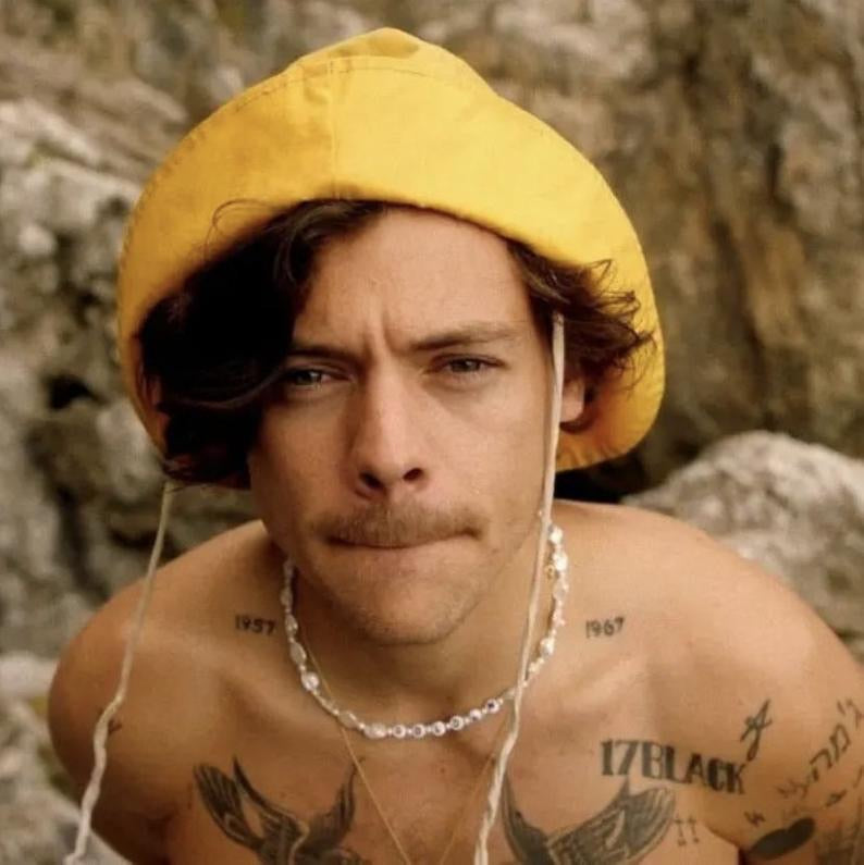 Collar Harry Styles Inspirado Golden Perlas