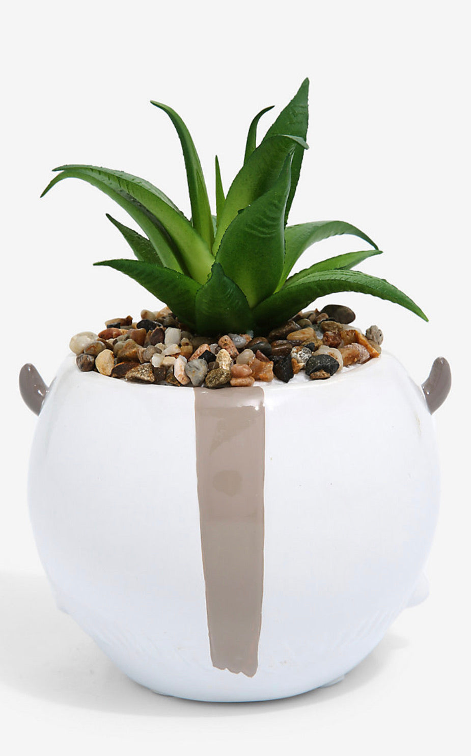 Avatar Planta Suculenta Appa