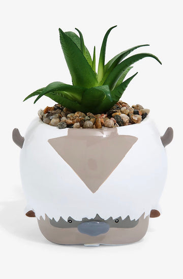 Avatar Planta Suculenta Appa