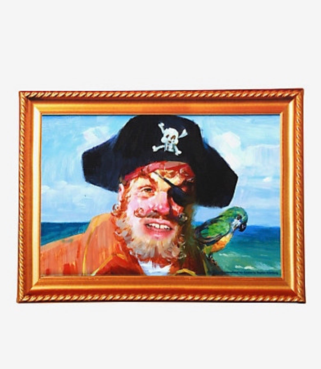 Cuadro De Capitán Bon Esponja