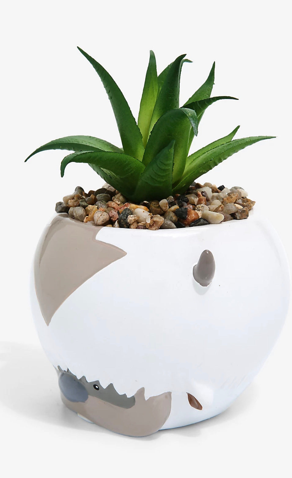 Avatar Planta Suculenta Appa