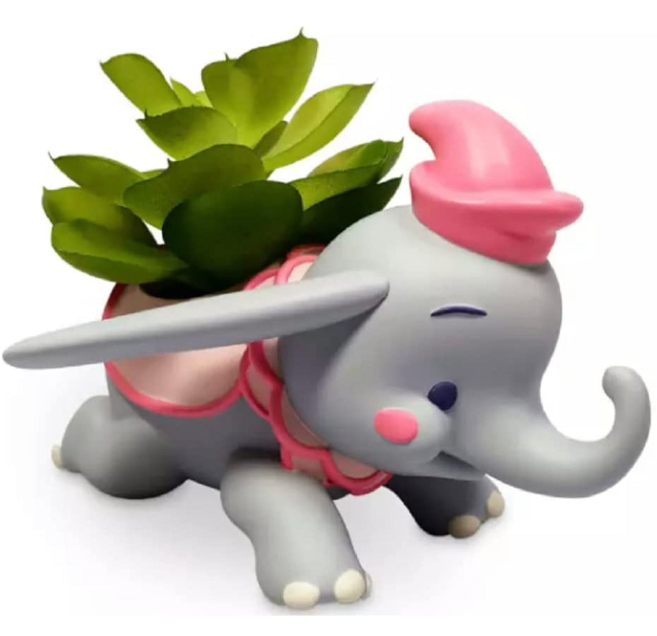 Dumbo Planta Suculenta