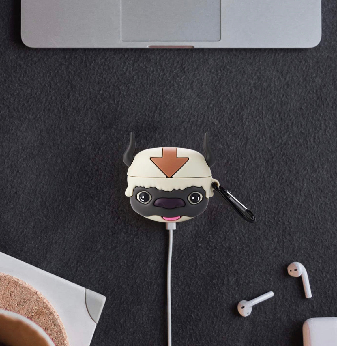 Avatar Appa Airpod Case