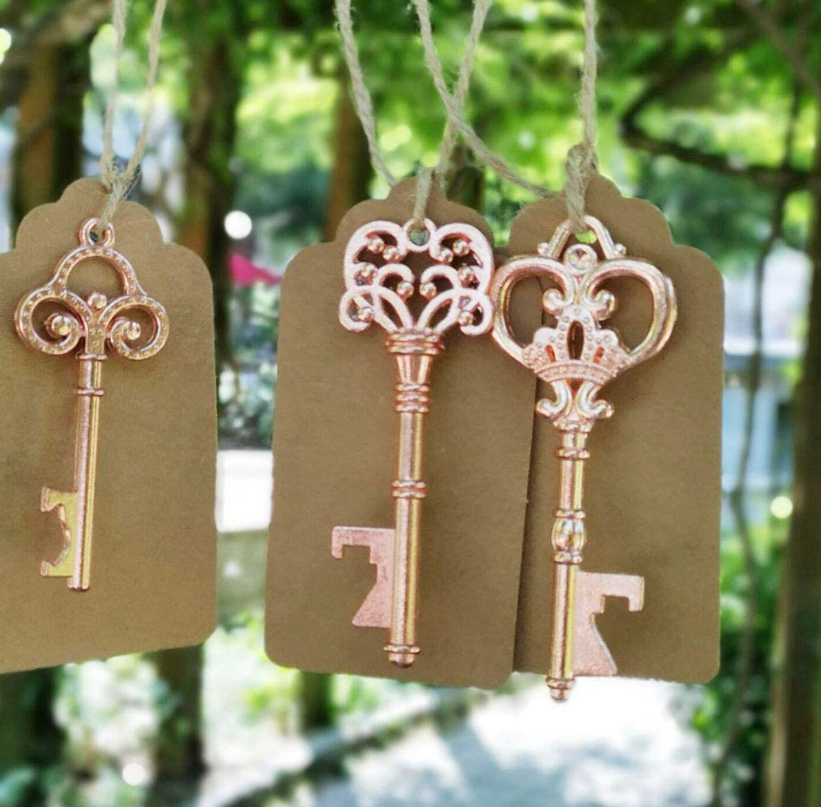 Destapador De Llaves Paquete De 50 piezas