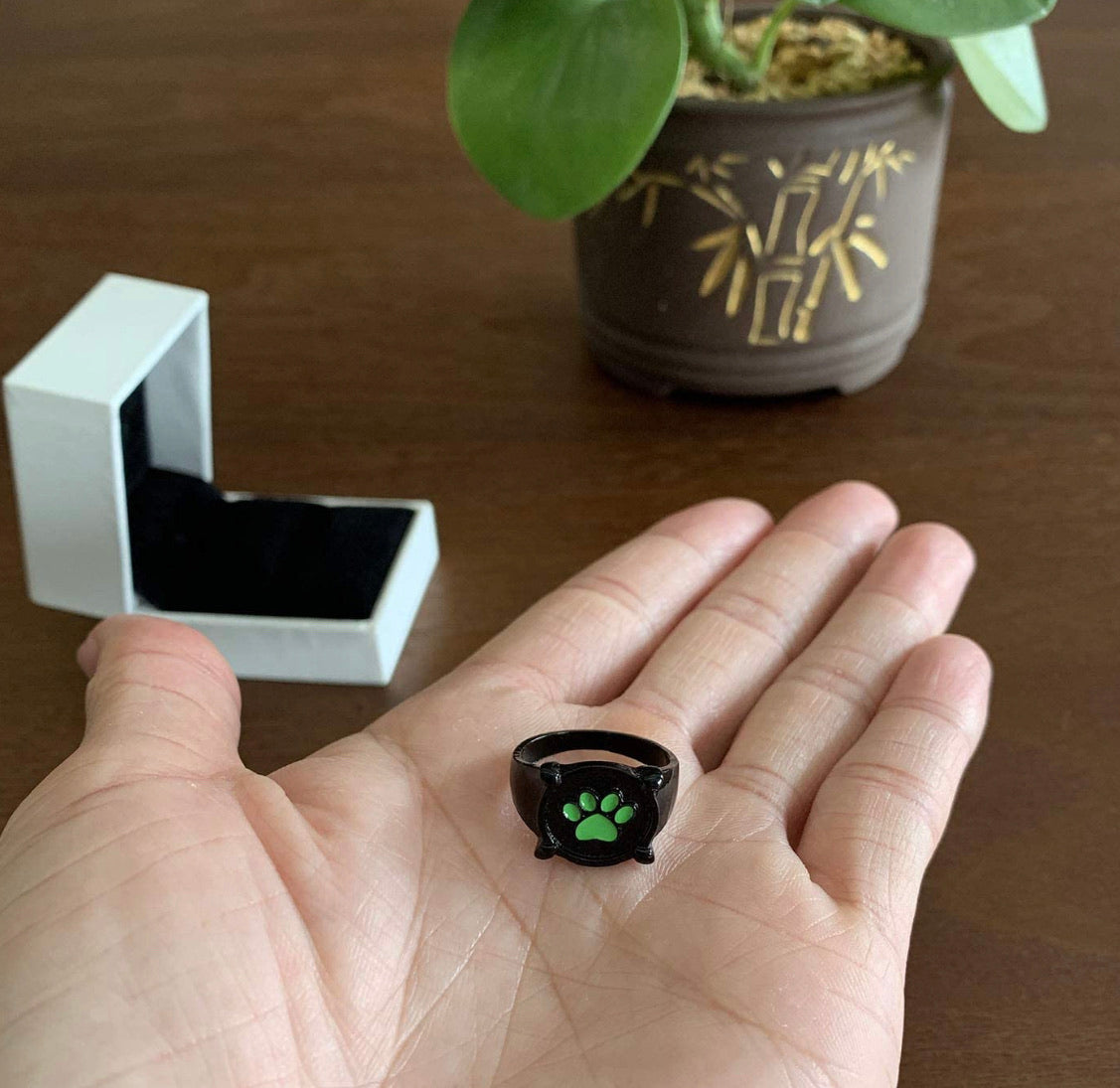 Anillo Cat Noir Lady Bug