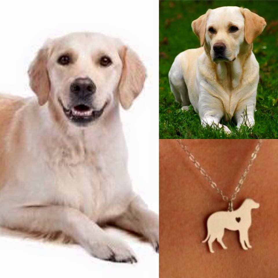 Collar De Perro (LABRADOR)