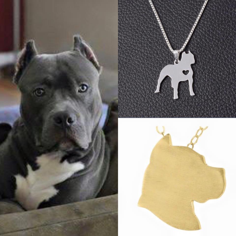 Collar De Perro (PIT BULL)