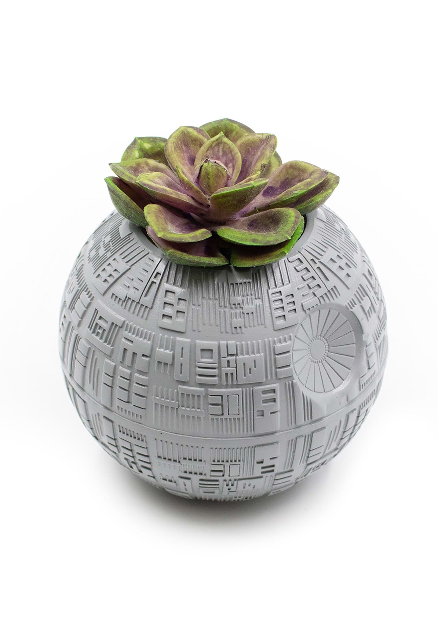 Star Wars Estrella De La Muerte Planta Suculenta Death Star