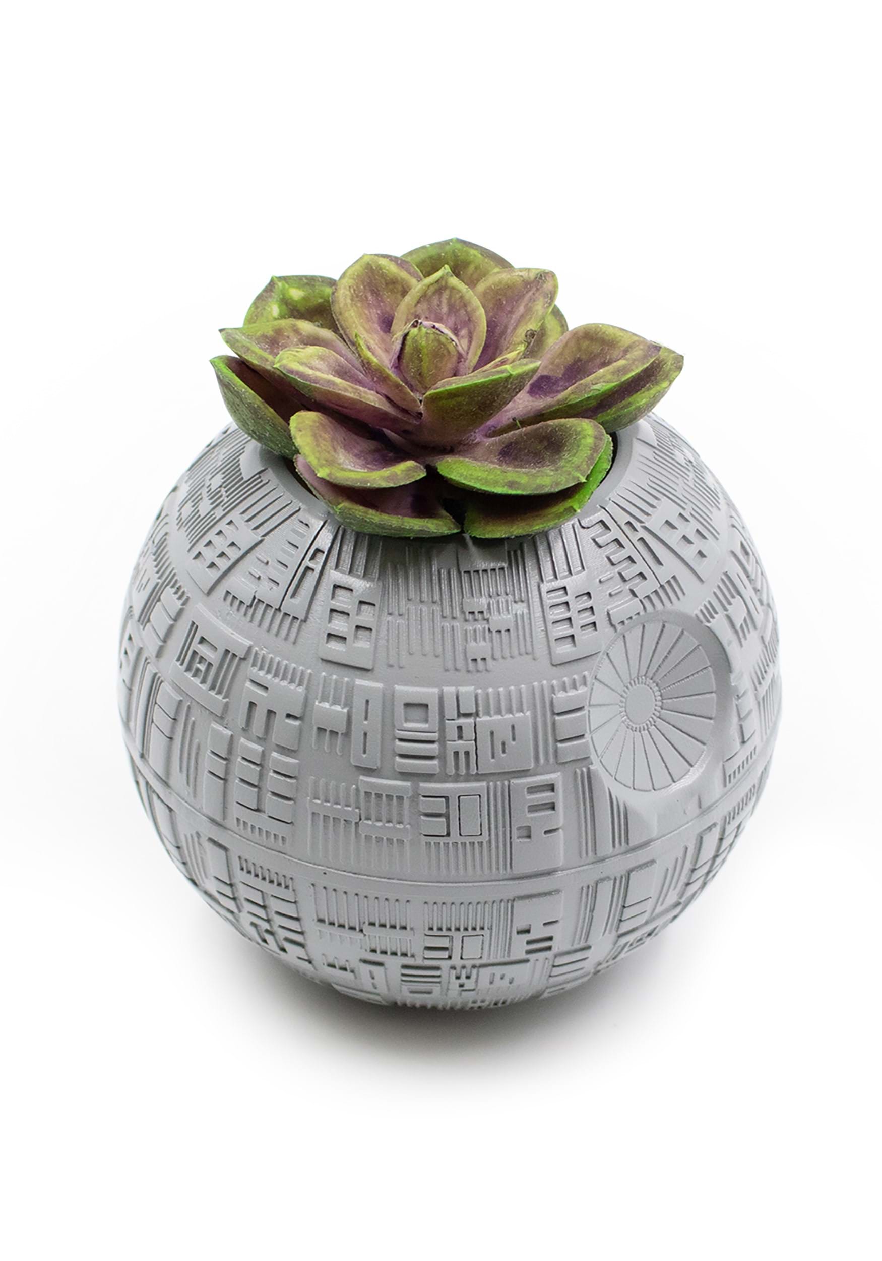 Star Wars Estrella De La Muerte Planta Suculenta Death Star