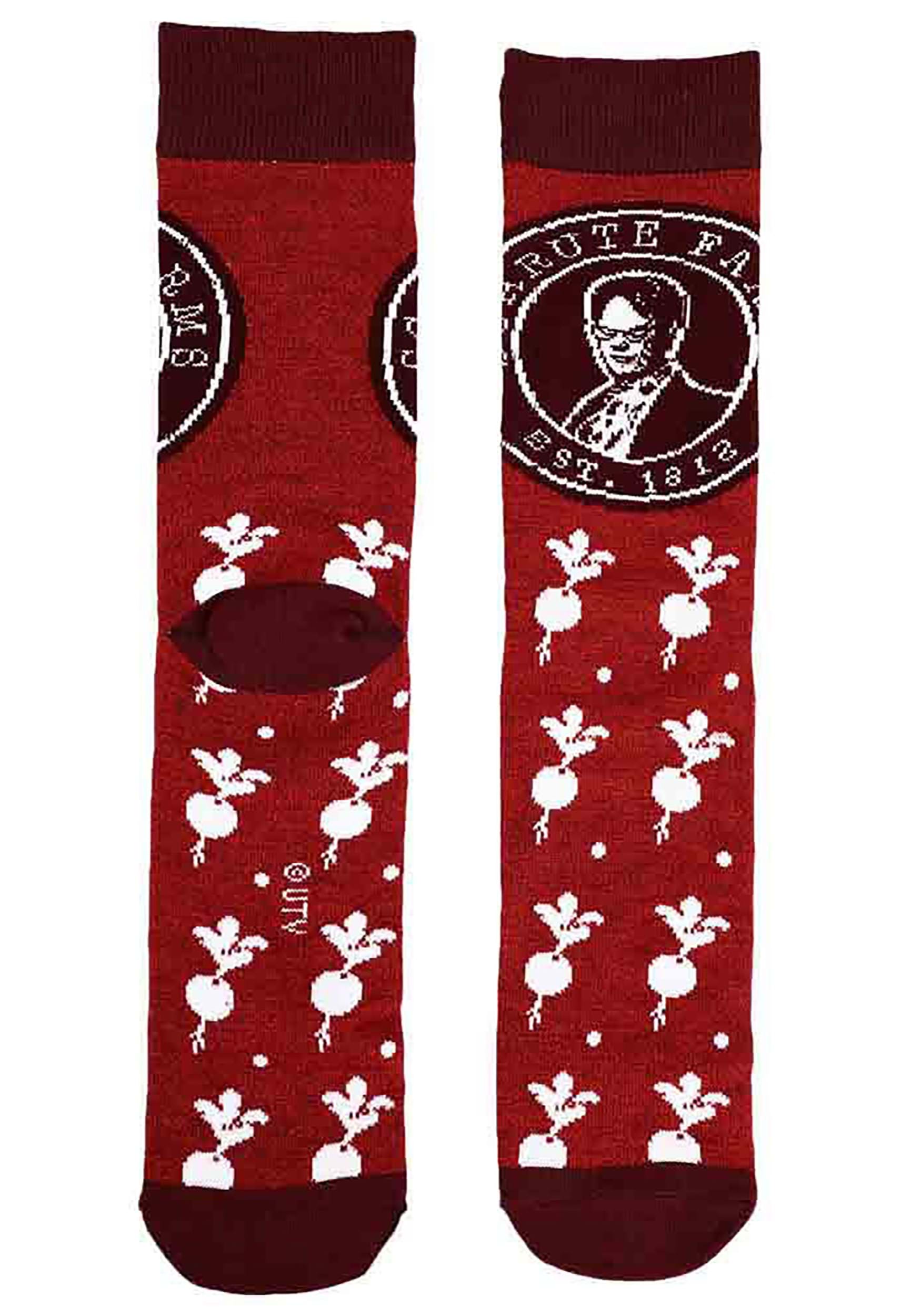 The Office 12 Dias De Calcetines Set